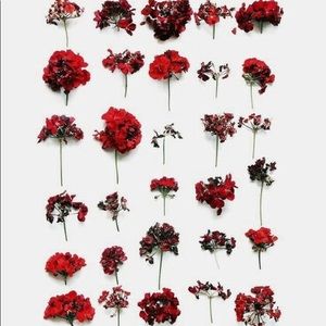 Meet your Posher, Maribel